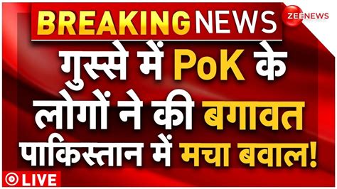 Pakistani Reaction On Pok News Live Updates Pok