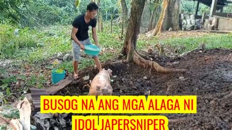 Busog Na Ang Mga Alaga Ni Idol Japersniper Youtube