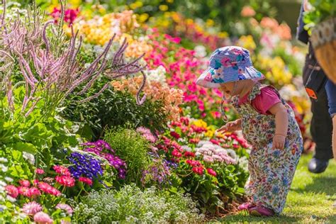 Toowoomba Flower Festival Parade 2018 | Best Flower Site