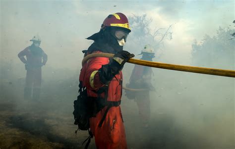 La Jornada Nueva Ola De Incendios Arrasa Más De 3 Mil Hectáreas De