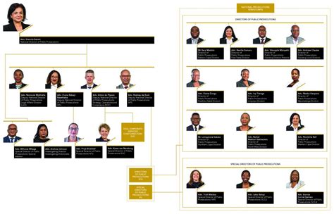 Our Structure Npa