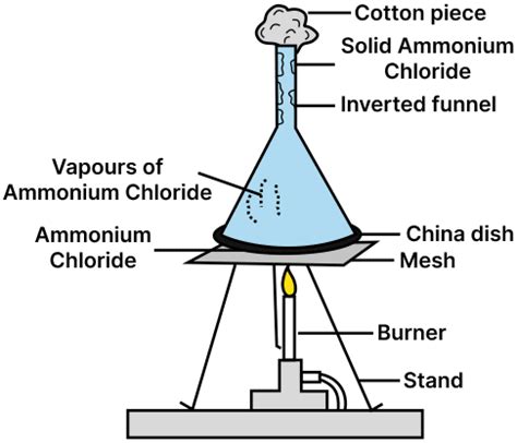 Describe An Experiment To Demonstrate The Process Of Knowledgeboat