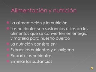 Tema 3 Alimentacion y digestión PPT Descarga Gratuita