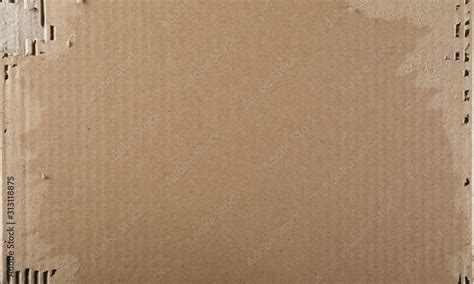 Torn Cardboard Background And Texture Stock Photo Adobe Stock