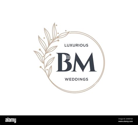 Bm Initials Letter Wedding Monogram Logos Template Hand Drawn Modern