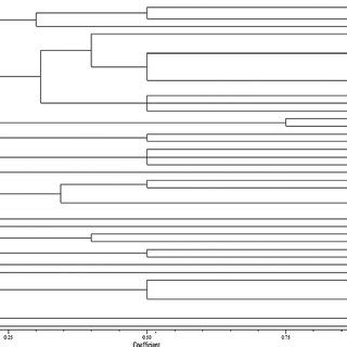 Dendrogram Constructed From The Combined 16S RRNA RFLP Banding Patterns