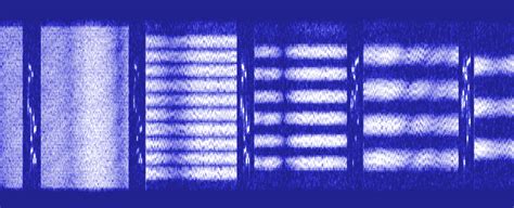 The World Of Shortwave Signals Panoradio Sdr