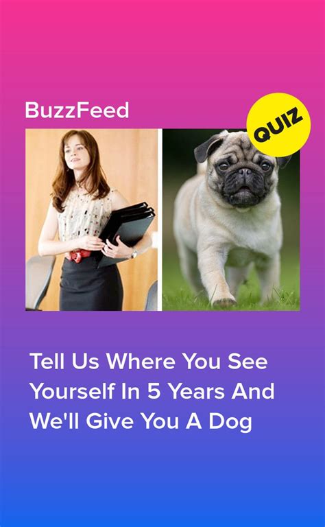 Tell Us Where You See Yourself In 5 Years And Well Give You A Dog