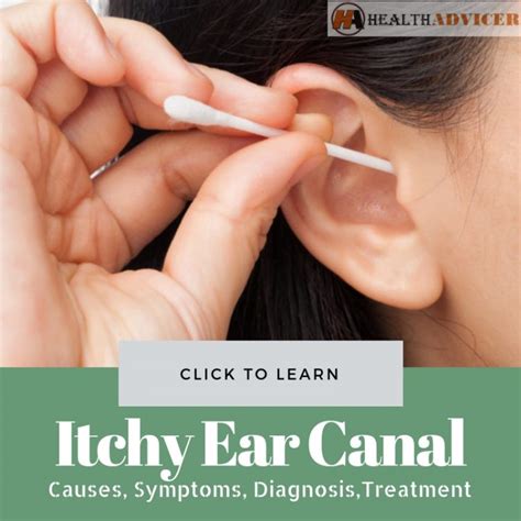 Itchy Ear Canal: Causes, Picture, Symptoms, And Treatment