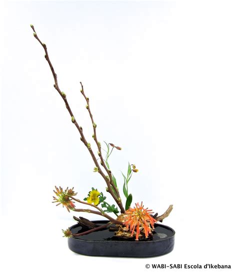 Escola Dikebana Wabi Sabi Ikebana Ikebana Flower Arrangement