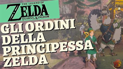 GUIDA Gli Ordini Della Principessa Zelda Tears Of The Kingdom ITA YouTube