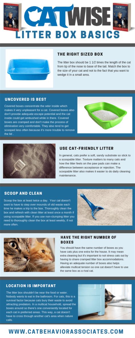 Infographic: Cat Litter box 101 | Pam Johnson-Bennett