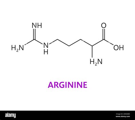 Arginine Amino Acid Chemical Molecule Essential Chain Structure