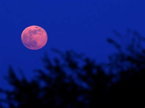 A Que Hora Sale La Luna Rosa En Estados Unidos Sale