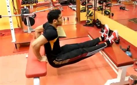 Bench Dips - Compound Exercise for the Triceps • Bodybuilding Wizard