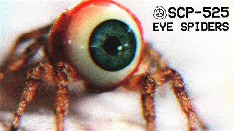 Scp 525 Eye Spiders Object Class Euclid Ocular Scp Youtube