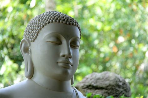 Buddha Sri Lanka Mahamevnawa Green Free Photo On Pixabay