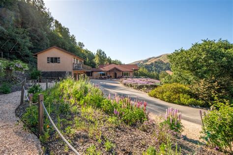 Nicasio, CA Real Estate - Nicasio Homes for Sale | realtor.com®