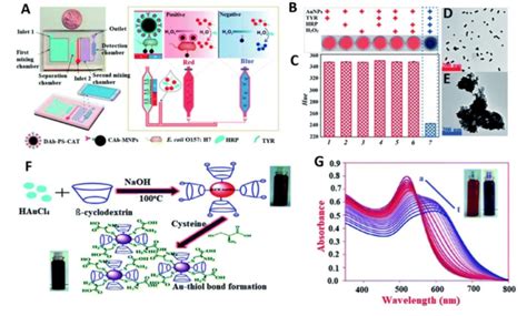 Smartphone Based Gnp Optical Biosensor For Colorimetric Assays For E