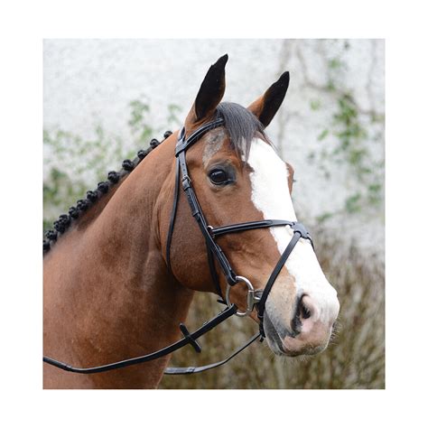 Mackey Equestrian Classic Padded Grackle Bridle Brown