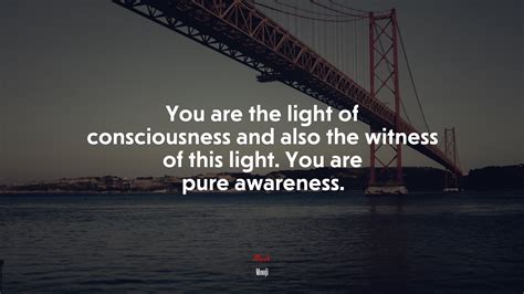 664426 You Are The Light Of Consciousness And Also The Witness Of This