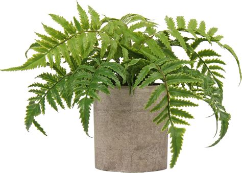 Oairse 2 Pack Artificial Boston Fern Plant In Pots Decorative