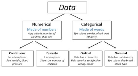 Numerical Data