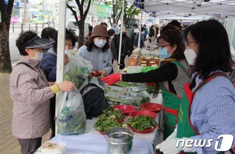 대구농협 추석맞이 고향사랑 직거래장터 개장 네이트 뉴스