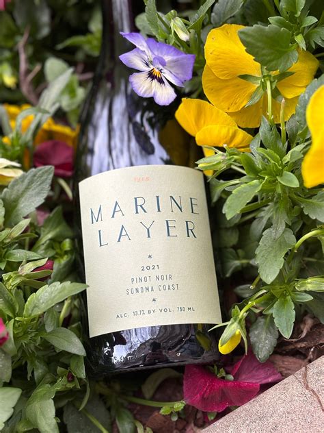 Bad Ass Reds Fermented Wine Boutique