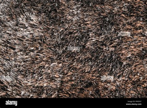 Modern Dark Shaggy Carpet Texture Stock Photo Alamy