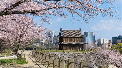 Experience Fukuoka The Ultimate Guide To Top Attractions And Hidden