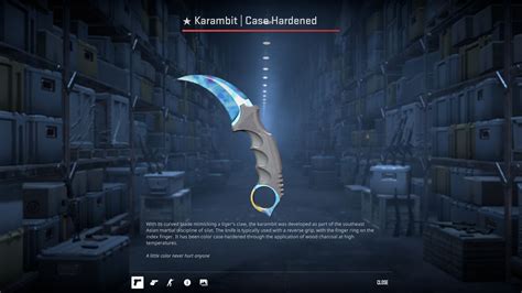 Most Expensive CS2 Skins: The #387 Karambit Blue Gem