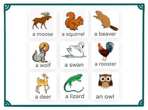 Diurnal Nocturnal Animals Free Activities online for kids in 1st grade ...