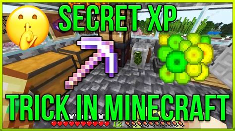 The Secret Xp Trick In Minecraft No One Talks About YouTube