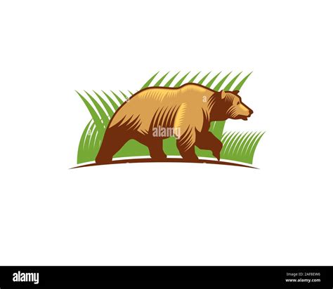 Bear Walking Drawing