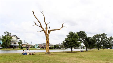 Bayou St. John | The Cultural Landscape Foundation