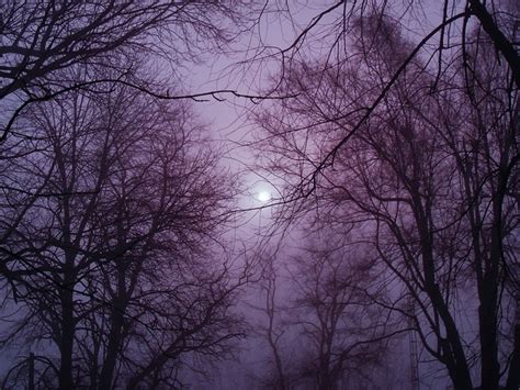 Purple Hazy Sky Pictures, Photos, and Images for Facebook, Tumblr ...