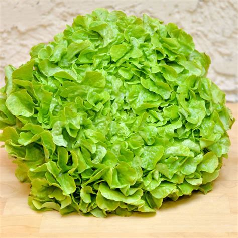 Salade Feuille De Ch Ne Bio U Ferme Des Bioux Locavor Fr