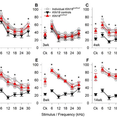 Age Related Changes In Abr Thresholds Of Klhl Lowf Mice