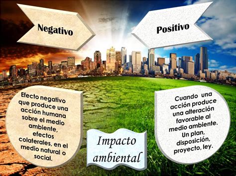 Qual O Impacto Positivo Do Arvorismo Na Consci Ncia Ambiental Librain