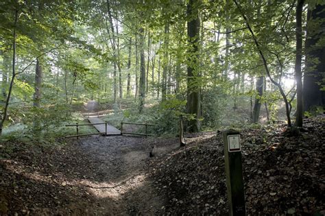 Wandelingen In De Vlaamse Ardennen De Mooiste Wandelroutes