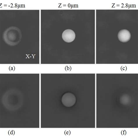 Reconstructed X Z And Y Z Slices From Experimentally Captured Dataset Download Scientific