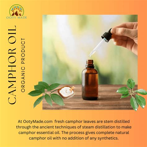 Buy The Best Camphor Essential Oil For Hair Pure And Natural Buy Camphor Oil Online