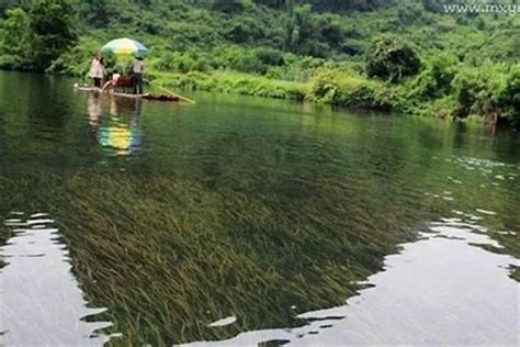 梦见河水是什么意思周公解梦？梦见河水倒流是什么预兆解梦风水运势网