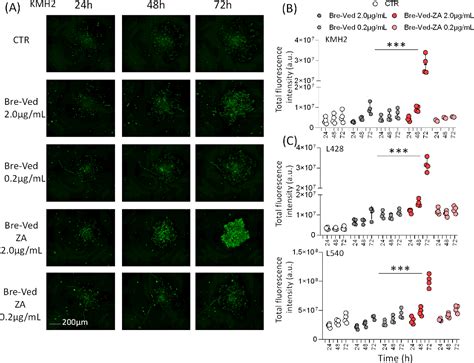 Figure From Antibodydrug Conjugate Made Of Zoledronic Acid And The