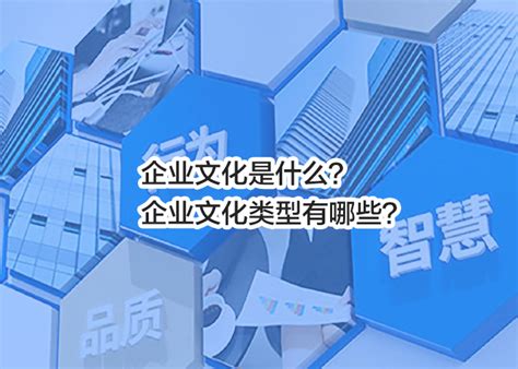 企业文化是什么？企业文化类型有哪些？ 杭州清活品牌战略定位公司