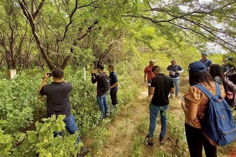 Alunos Do E Per Odos Do Curso De Engenharia Agron Mica Do Cesvasf