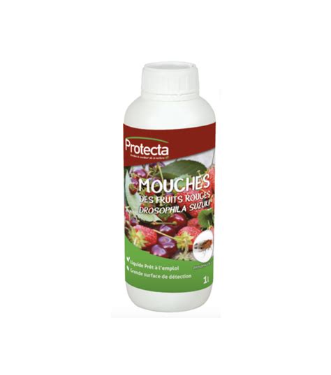 Mouche Des Fruits Rouges Prodige Bresse Bourguignonne Site Pour Les