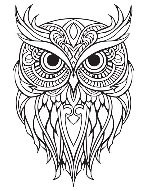 Owl Bird Coloring Book For Adults Vector Digital Mandala Illustration