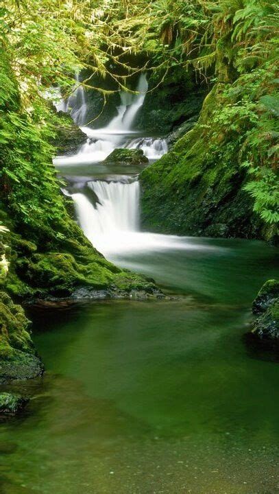 The Hoh Rainforest In The Olympic Peninsula Waterfall Waterfall